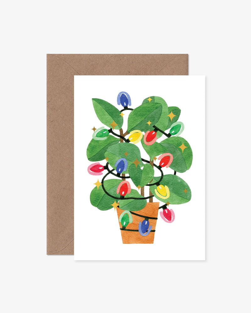 Peperomia Christmas Card Gifts Katrina Sophia