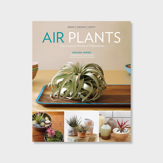 Air Plants : The Curious World of Tillandsias Books Zenaida Sengo