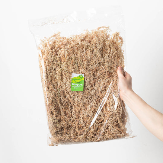 Besgrow Sphagnum Moss | Strand Moss Potting Soil & Substrates Besgrow