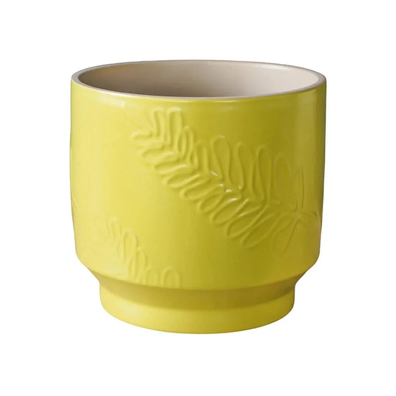 Botanist Lime Leaf Embossed Planter
