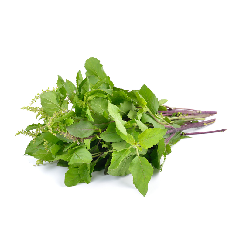 Holy Basil (Tulsi) Seeds — Default Title