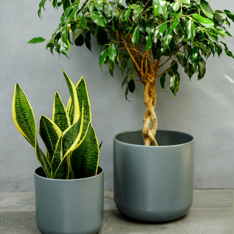 Lisbon Charcoal Plant Pot — 11.5cm / Charcoal