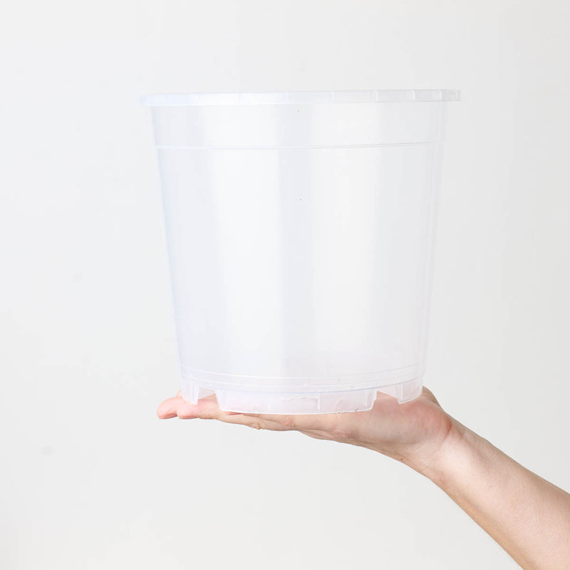 Clear Orchid Pots 21cm | Transparent Nursery Pot Pots & Planters GrowTropicals
