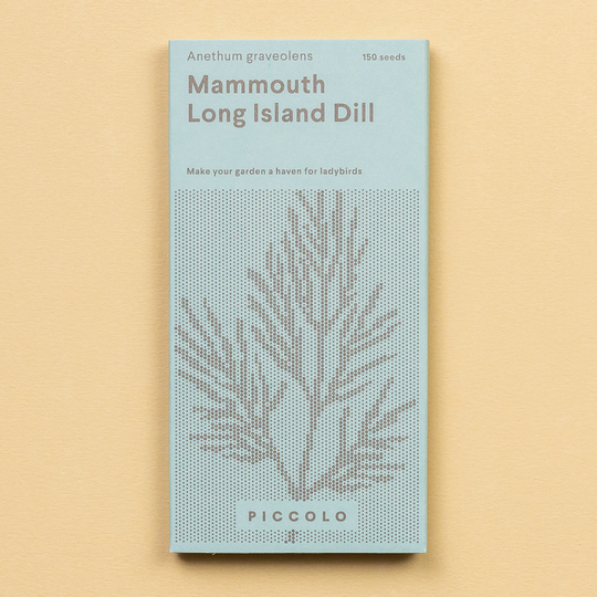 Dill 'Mammoth Long Island' Seeds Seeds Piccolo Seeds