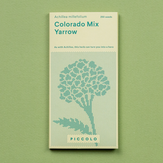 Yarrow 'Colorado Mix' Seeds Seeds Piccolo Seeds