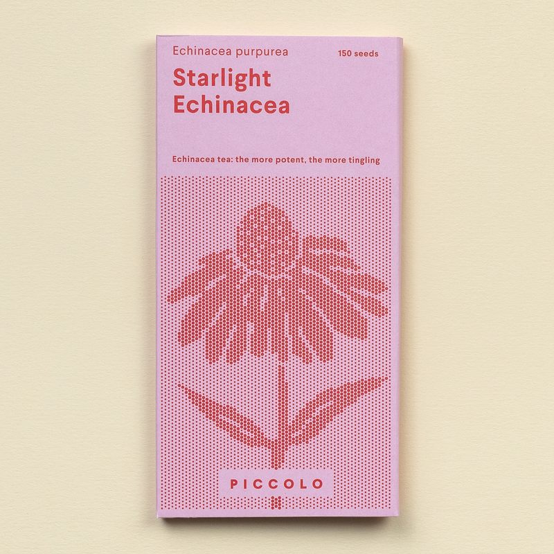 Echinacea 'Starlight' Seeds Seeds Piccolo Seeds