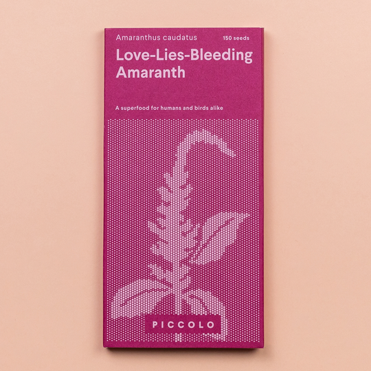 Amaranth 'Love Lies Bleeding' Seeds Seeds Piccolo Seeds