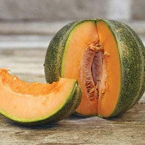 Melon 'Petit Gris de Rennes' Seeds — Default Title
