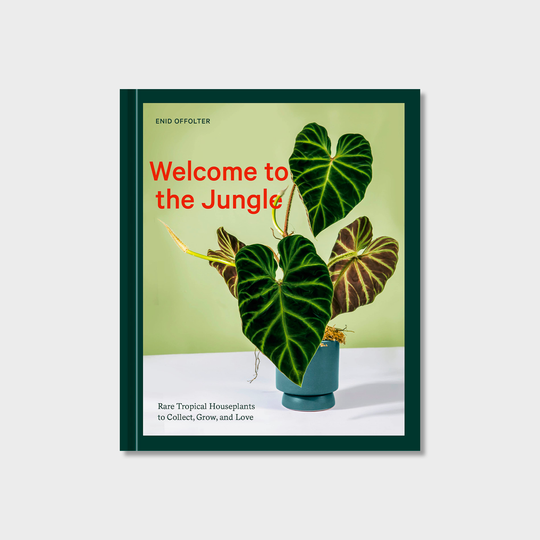 Welcome to the Jungle: Rare Tropical Houseplants to Collect, Grow, and Love Books Enid Offolter