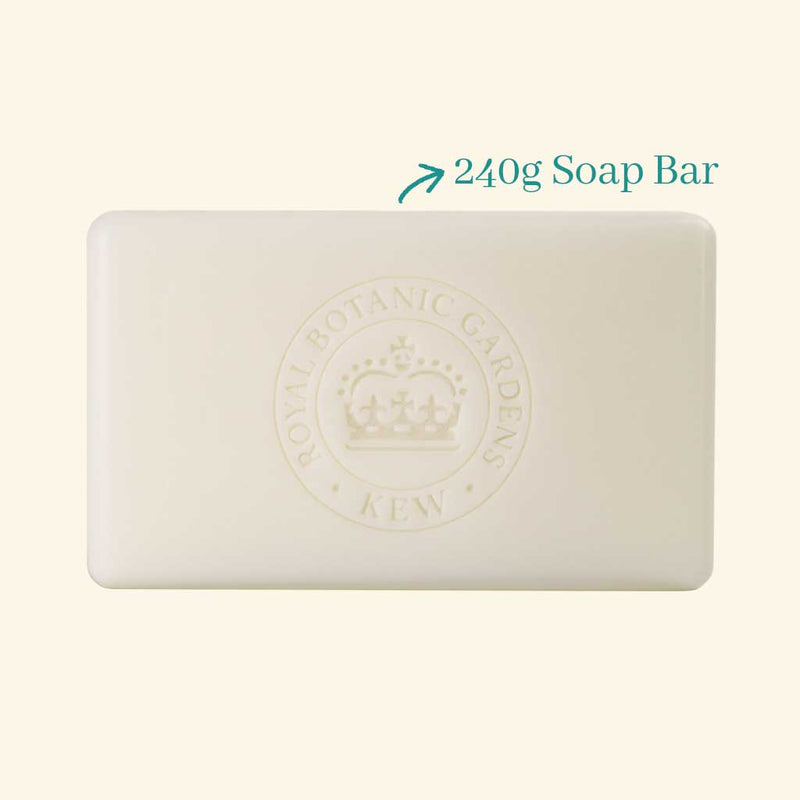 Kew Gardens Bluebell and Jasmine Soap — Default Title