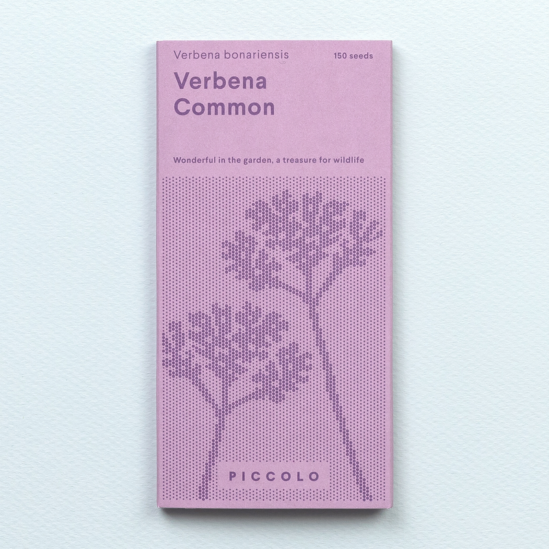 Verbena bonariensis Seeds Seeds Piccolo Seeds
