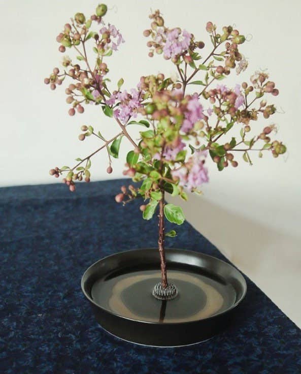 Gohobi Ikebana Kenzan Stainless Steel Flower Stand Flower Holder: 5 cm Gohobi (We cover import duties)