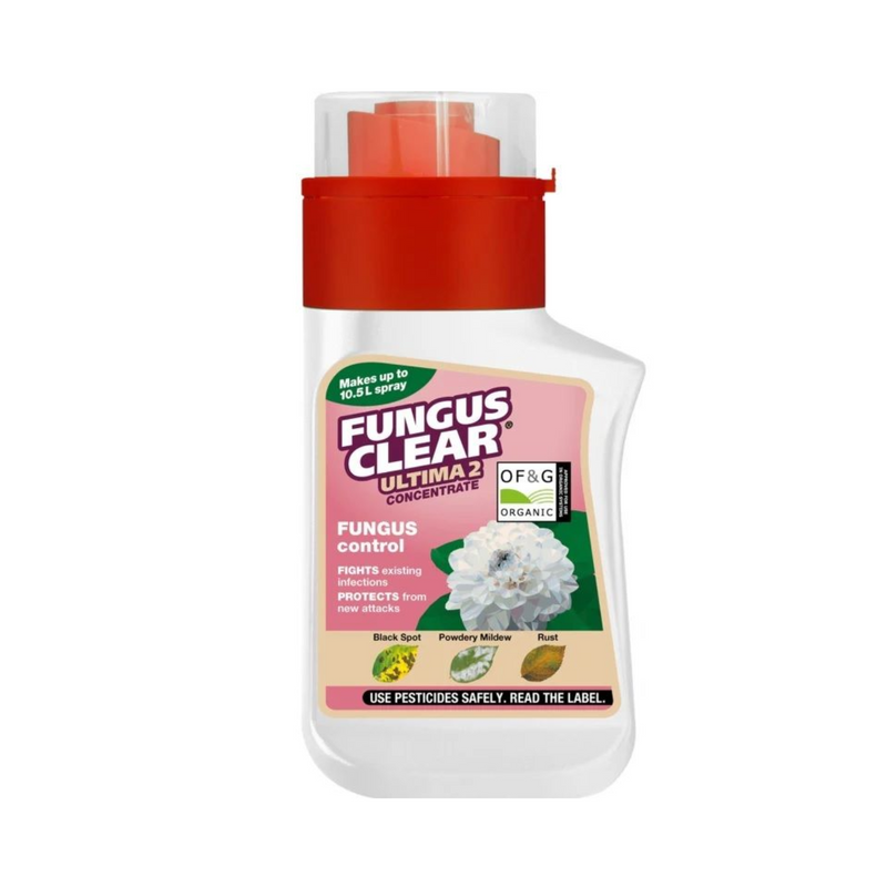 FungusClear Ultimate 2 Concentrate 210ml Pest Control FungusClear
