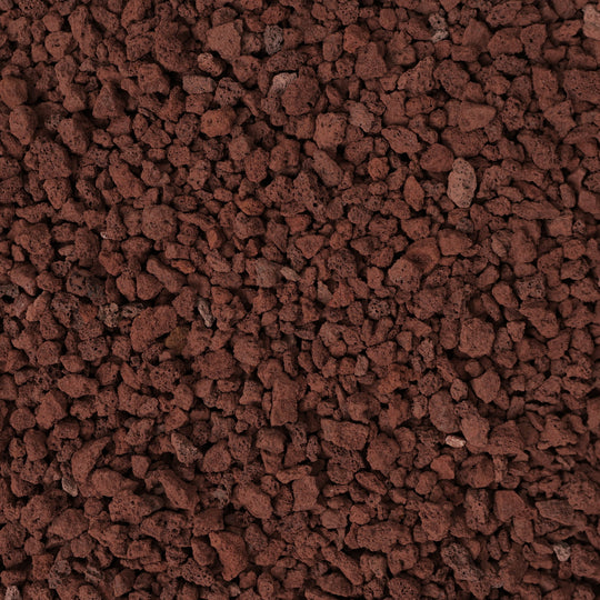 Lava Rock (Fine Grade) Potting Soil & Substrates GrowTropicals
