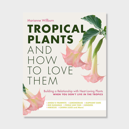 Tropical Plants and How to Love Them: Building a Relationship with Heat-Loving Plants When You Don't Live In The Tropics Books Marianne Willburn