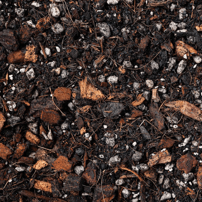 Aroid Potting Mix Bundle 2.5L Potting Soil & Substrates GrowTropicals