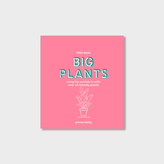 Little Book of Big Plants: Bring the Outside in with Over 45 Friendly Giants Books Emma Sibley