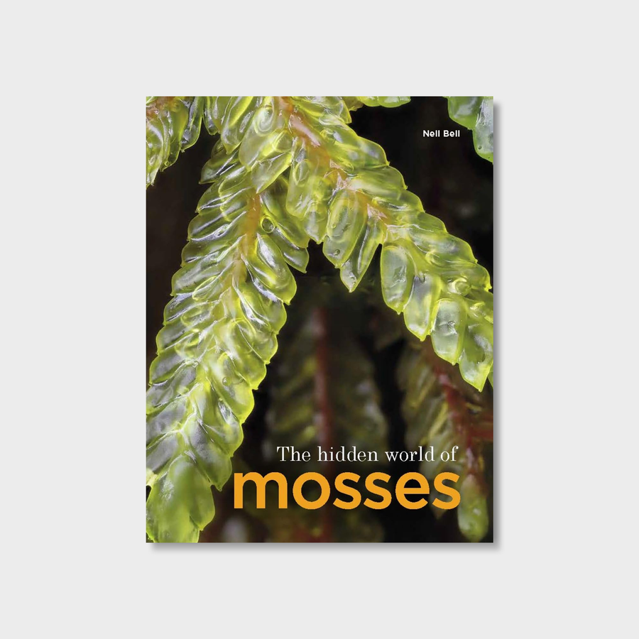 The Hidden World of Mosses - GROW TROPICALS