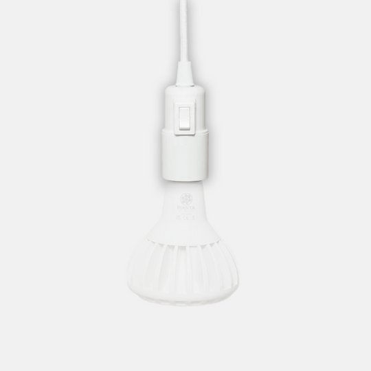 GrowGang Enna Plug-in Ceiling Pendant with 5m Textile Cable and Ceiling hook Grow Light GrowGang