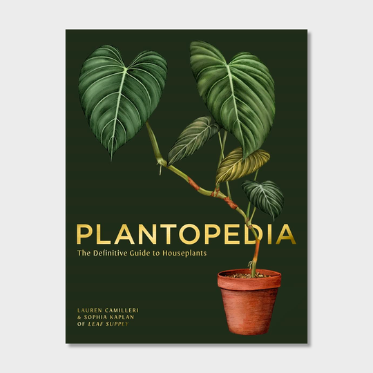 Plantopedia: The Definitive Guide to House Plants Books Lauren Camilleri