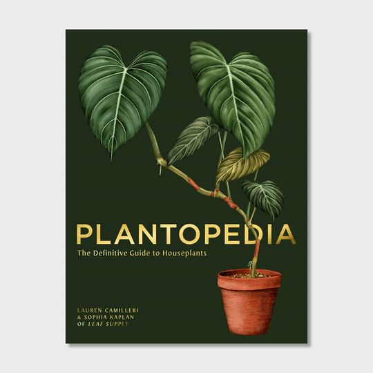 Plantopedia: The Definitive Guide to House Plants Books Lauren Camilleri