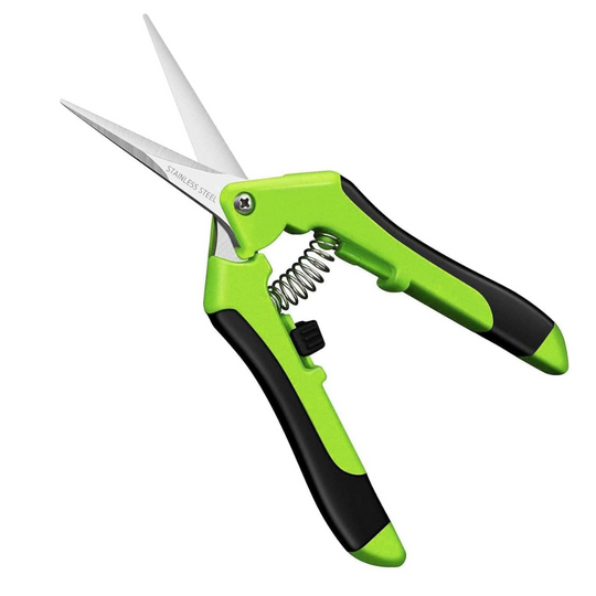 Straight Blade Pruning Scissors Tools GrowTropicals