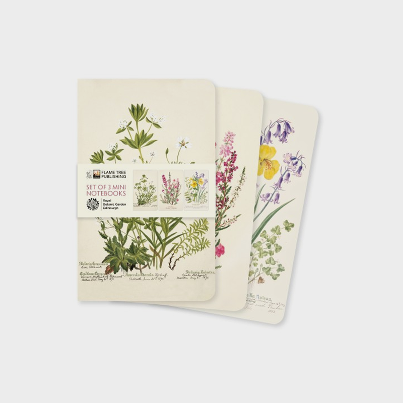 Royal Botanic Garden Edinburgh Set of 3 Mini Notebooks Books Matt Candeias PhD