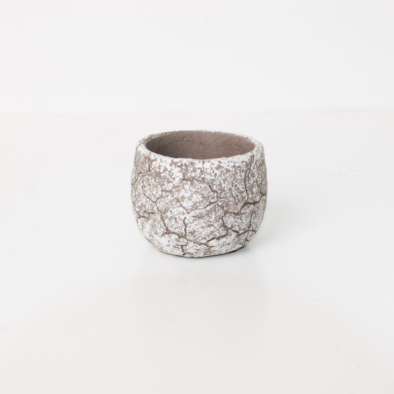 Thomas Concrete Pot - Light Grey Pots & Planters GrowTropicals