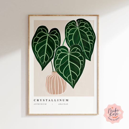 Anthurium Crystallinum Art Print Prints MikiRoseHome