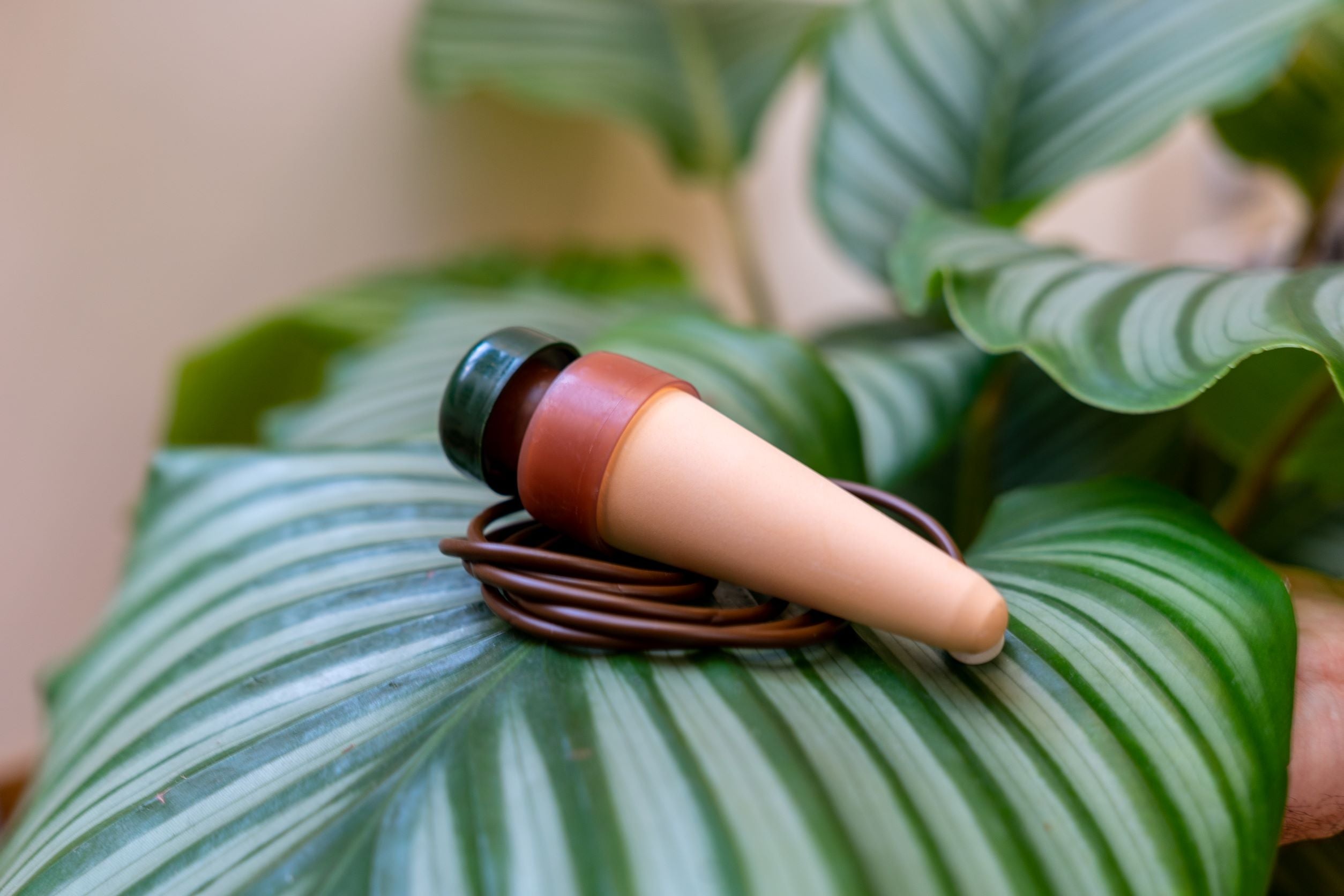 Blumat Classic Simple SelfWatering System GROW TROPICALS