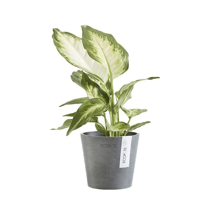 Ecopots Amsterdam Recycled Plastic Pot Grey Pots & Planters Ecopots