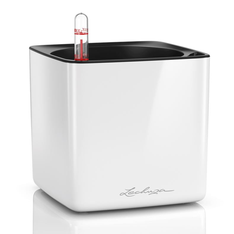Lechuza CUBE Glossy 14 Self Watering Plant Pot White High Gloss Pots & Planters Lechuza