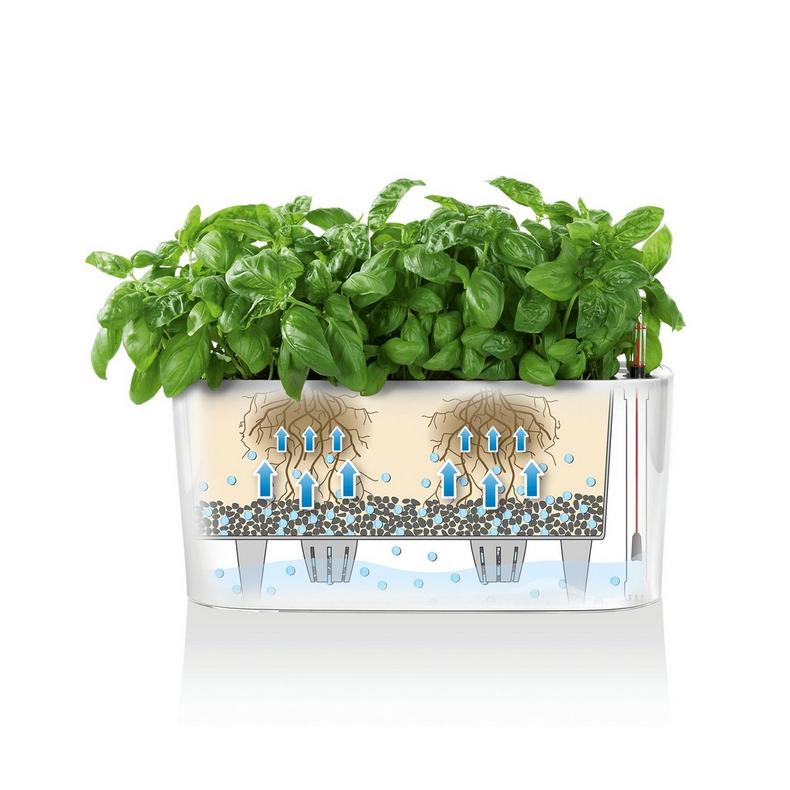 Lechuza Delta 10 Self Watering Plant Pot Pots & Planters Lechuza