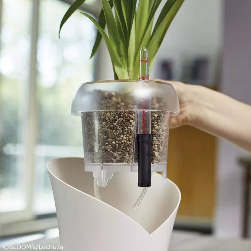 Lechuza-OrchidPon | Soil Alternative Potting Soil & Substrates Lechuza