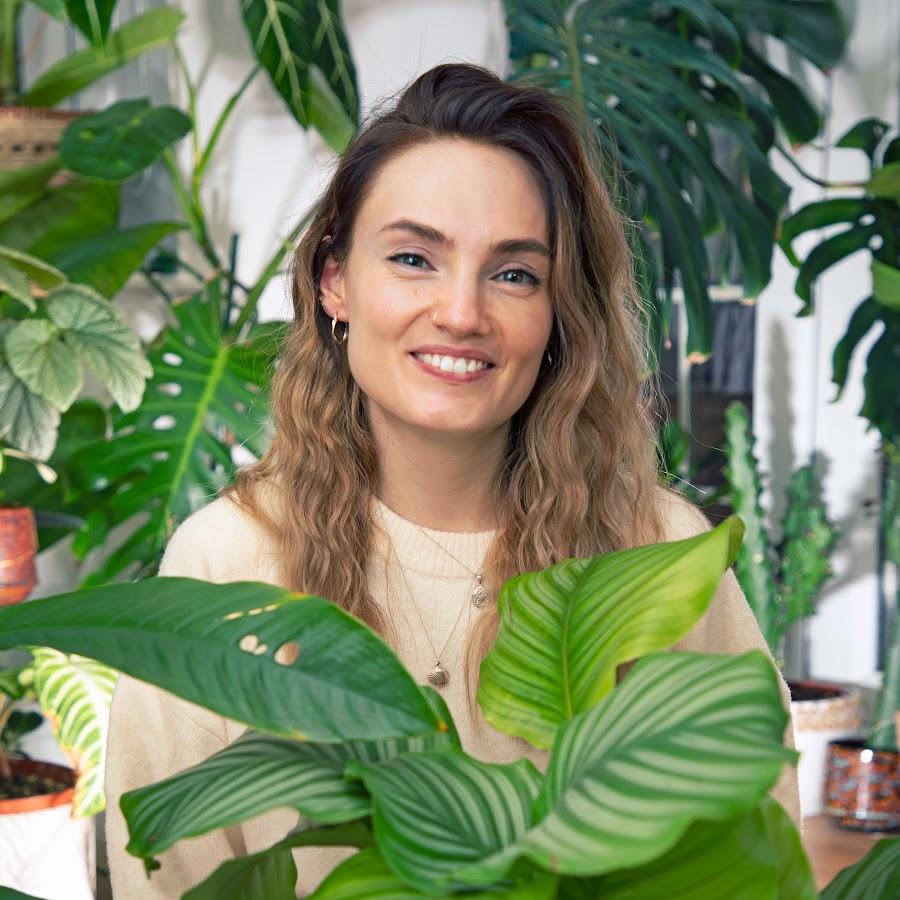 Houseplant Influencers to Follow in 2026