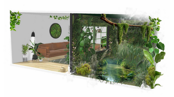 We're Teaming Up With The Jungle Haven & Worcester Terrariums for RHS Malvern Spring Festival