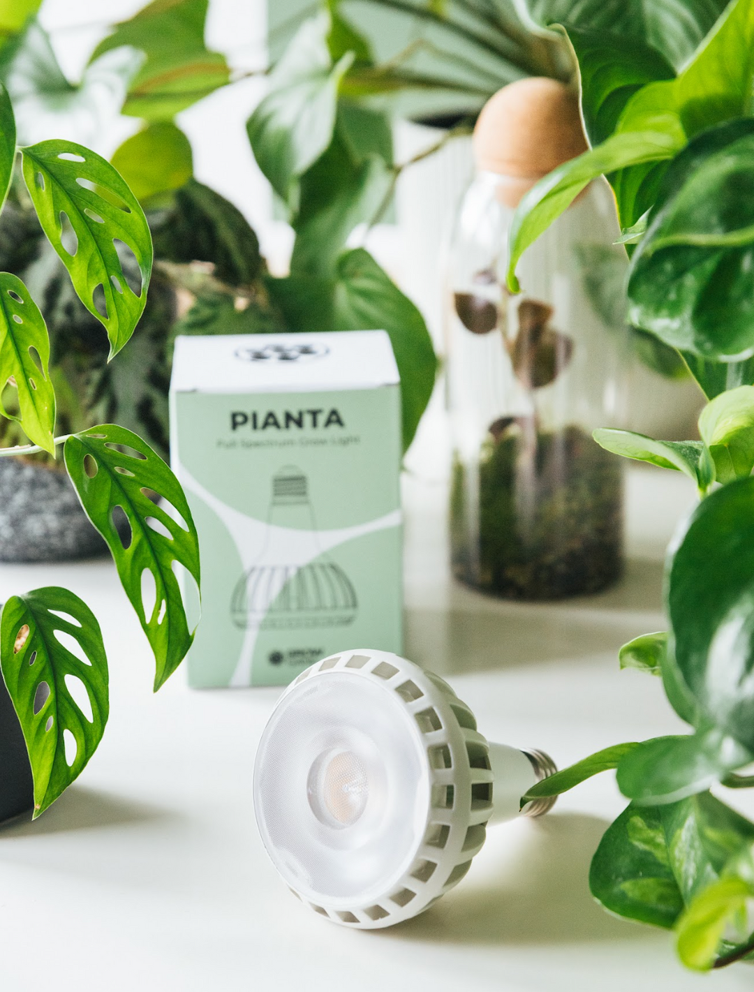 Your Complete Guide to Grow Lights – With Grow Gang!