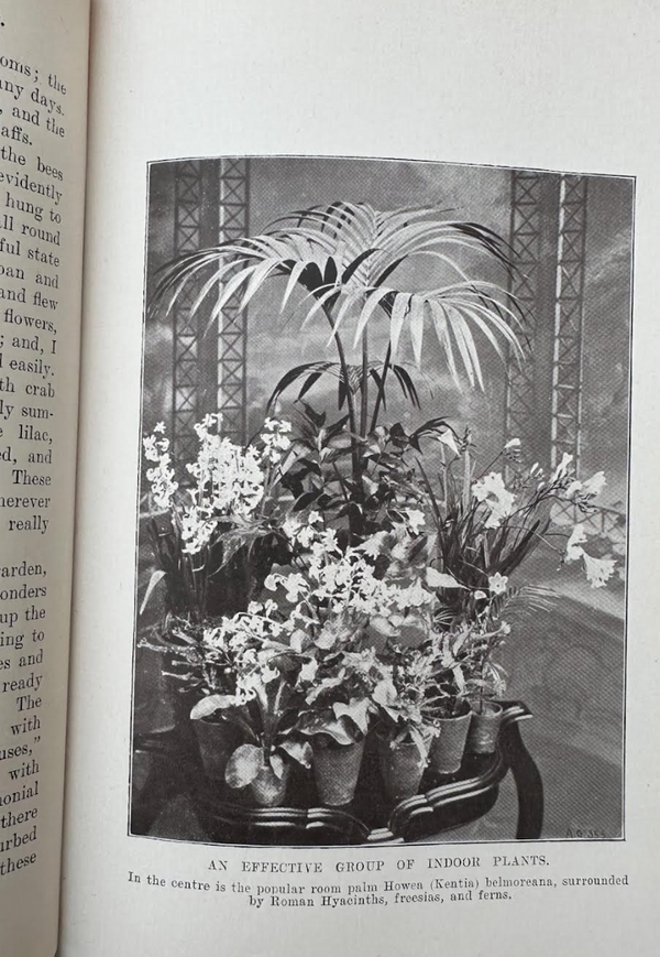 The Story Behind Our Collection of Vintage Plant Books