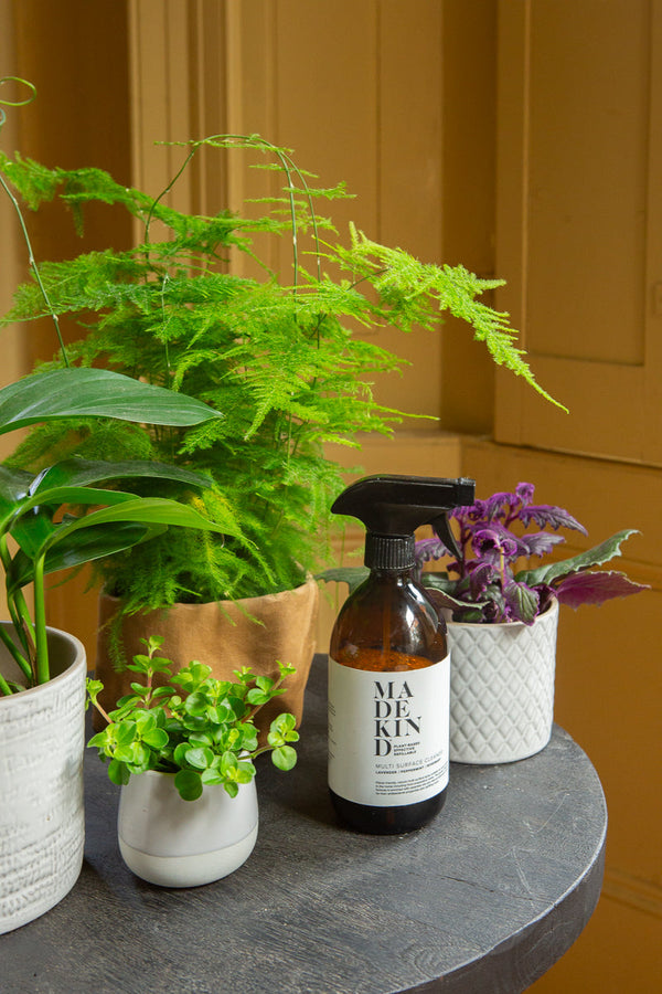 A Greener Home with MadeKind: Do Natural Cleaning Products Work?