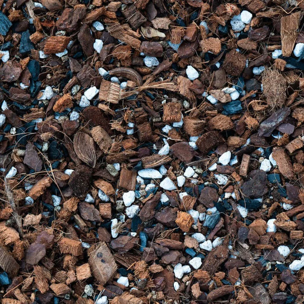 Your Complete Guide to Houseplant Soils