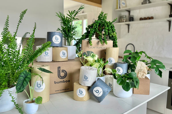 5 Easy Eco-Switches to Make Your Bathroom a Green Oasis