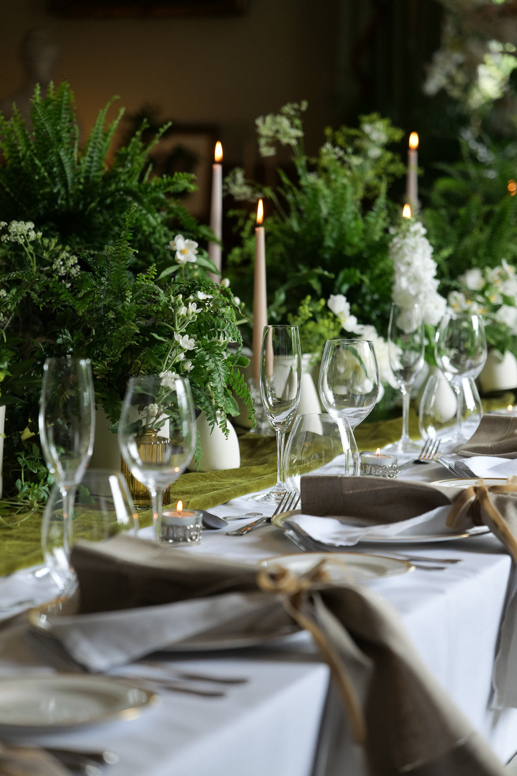 Can you Hire Houseplants for Events?