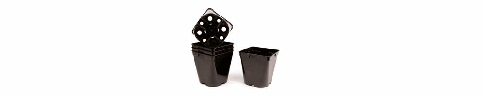 Plant Pots