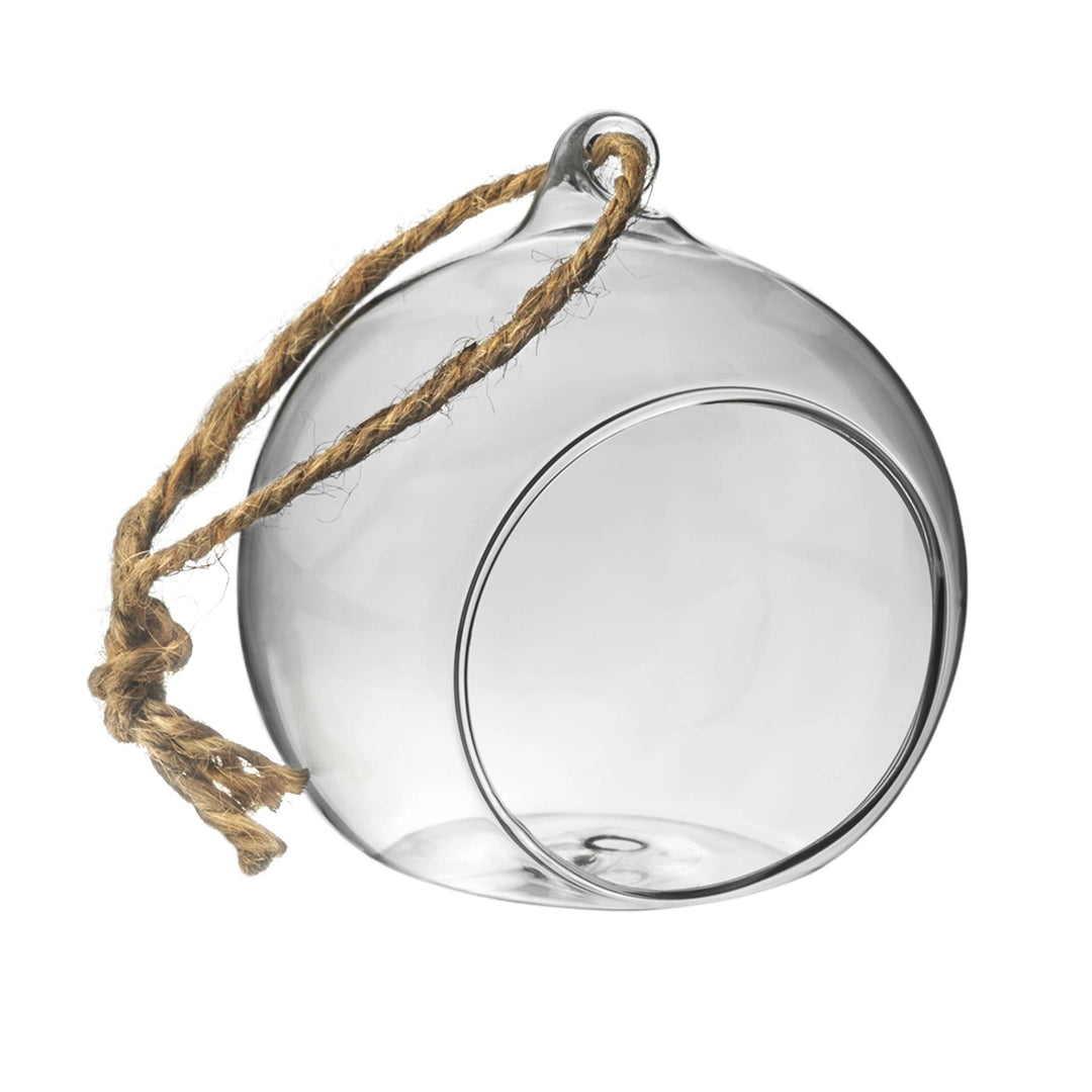 Terrarium Bauble - 8cm Pots & Planters Nicola Spring