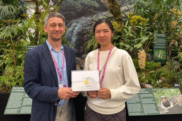Hong Kong display strikes gold at Chelsea Flower Show with rare orchids