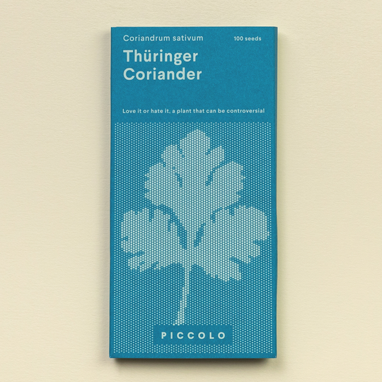Coriander 'Thüringer' Seeds Seeds Piccolo Seeds
