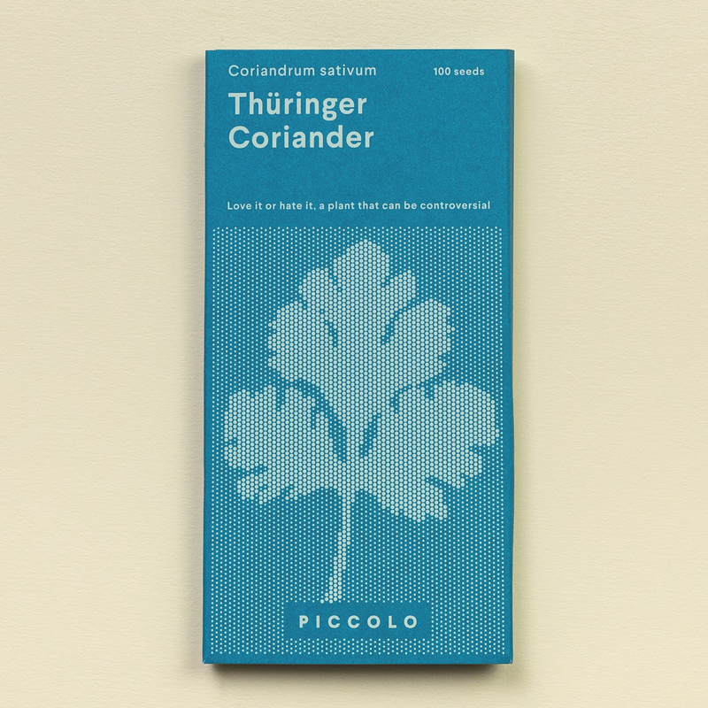 Coriander 'Thüringer' Seeds Seeds Piccolo Seeds