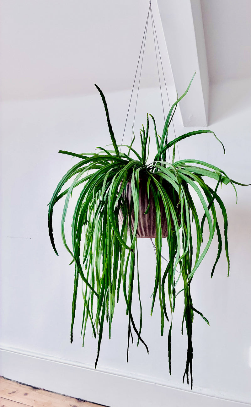 Bella Minimalist Wire Plant Pot Hanger Pots & Planters The Planted House