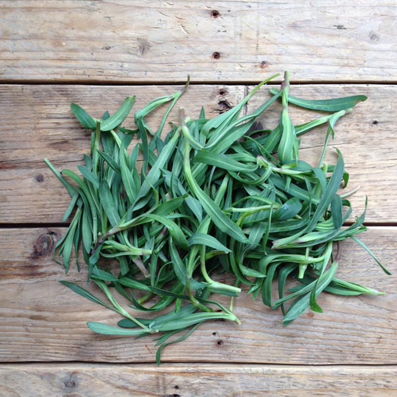 Foraging Wild Herbs Seed Collection — Default Title