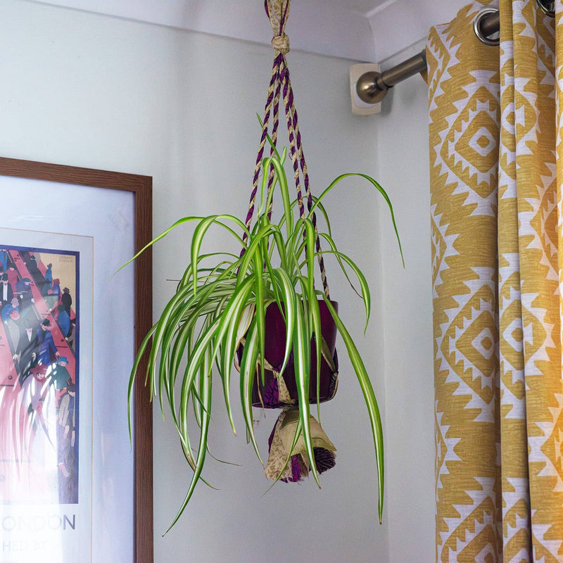 Recycled Sari Plant Hanger Small Plant Hangers Siesta
